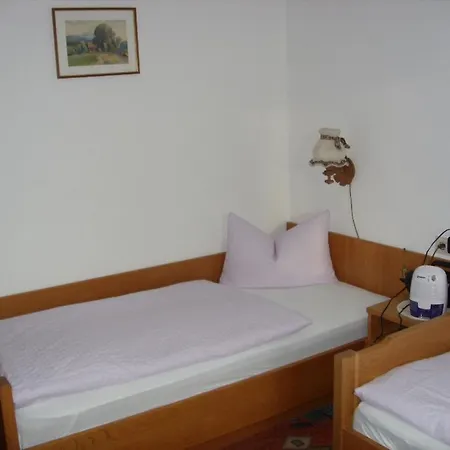 Haus Viol 3*